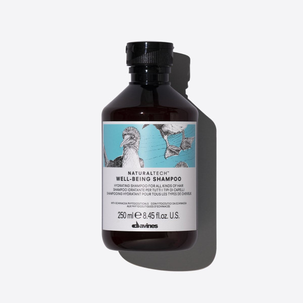 Davines Naturaltech Wellbeing Shampoo 250ml - 