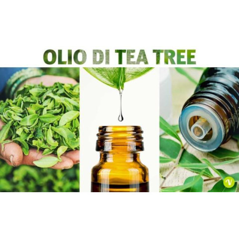 Saponetta Shampoo Solido Olio di Neem e Tea Tree - 