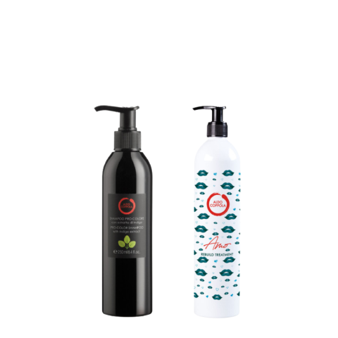 Aldo Coppola Amo Beauty set (shampoo 500ml + treatment 500ml) - 
